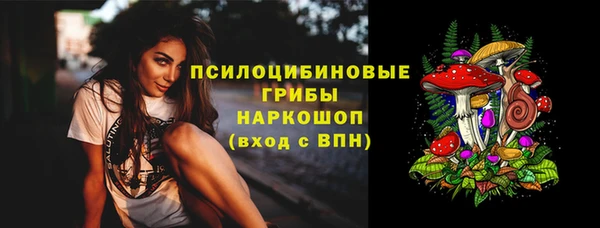 тгк Арсеньев