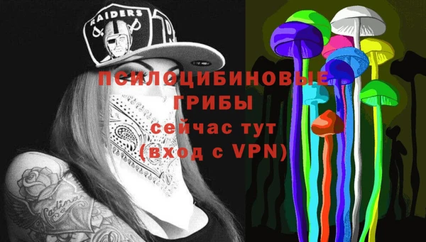 тгк Арсеньев