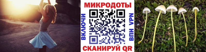 дарк нет наркотические препараты Великий Устюг Псилоцибиновые грибы Psilocybe